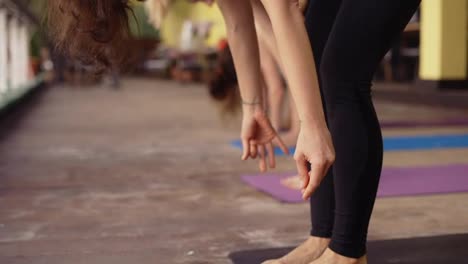 Gemeinsamer-Yoga-Kurs-Im-Freien-Auf-Der-Matte,-Nahaufnahme