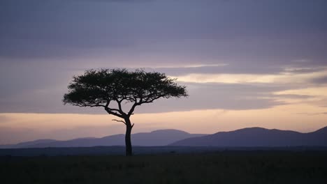 Wunderschöner-Landschaftssonnenuntergang-Vor-Einbruch-Der-Dunkelheit-Mit-Isoliertem-Akazienbaum-Am-Horizont.-Afrikanische-Natur-Im-Masai-Mara-Nationalreservat,-Kenia,-Afrika-Safarilandschaft-Im-Nordschutzgebiet-Der-Masai-Mara