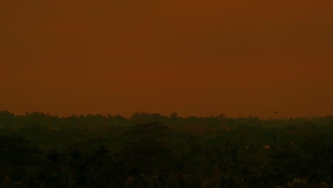 Die-Magische-Stunde:-Silhouetten-Und-Sonnenuntergang-Im-Regenwald-Von-Bangladesch
