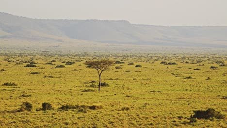 African-Savanna-Landscape-Scenery-Aerial-Shot,-Amazing-Beautiful-Masai-Mara-in-Africa,-Kenya-Hot-Air-Balloon-Ride-Flight-View-Flying-Over,-Unique-Safari-Travel-Experience-High-Up-From-Above