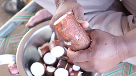 close-up-scene-of-a-man-using-a-wheel-to-cut-a-freshly-harvested-Cassava-pulp-into-small-pieces