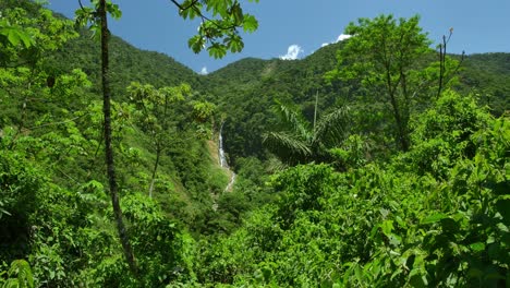 Grüner-Wald-Auf-Bolivianischen-Hügeln-Mit-Wasserfall-Und-Klarem-Himmel
