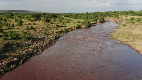 Aerial-drone-shot-of-Mara-River-Landscape-Scenery-and-Giraffe-Crossing-in-Masai-Mara,-Wildlife-Safari-Animal-in-Kenya,-Africa-with-Beautiful-African-Nature-of-Trees,-Lush-Green-Greenery-Scene