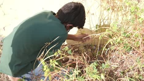 The-overgrown-grass-in-the-temple-premises-is-being-cut-and-cleaned-by-one-NGO-person
