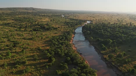 Toma-Aérea-Del-Paisaje-Con-Drones-En-El-Río-Masai-Mara-En-La-Hermosa-Luz-Dorada-Del-Sol,-Paisaje-Africano-En-La-Reserva-Nacional-De-Masai-Mara-En-Kenia,-Toma-Amplia-Con-Vegetación-Y-árboles-Verdes-Exuberantes