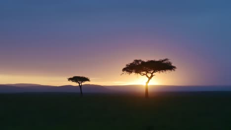 Beautiful-Sunset-Landscape-of-Acacia-Tree-and-African-Savanna-with-Dramatic-Blue-and-Orange-Sunrise-Sky-and-Clouds,-Sun-Setting-or-Sun-Rising-in-Masai-Mara-in-Kenya,-Background-with-Copy-Space