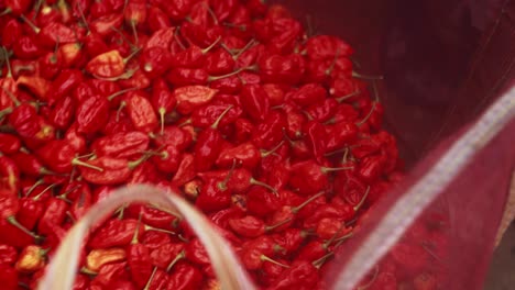 red-vibrant-ghost-pepper,-also-known-as-bhut-jolokia-piled-in-a-bag