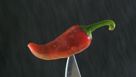 A-red-chili-pepper-on-a-knife-tip-in-a-spray-of-water