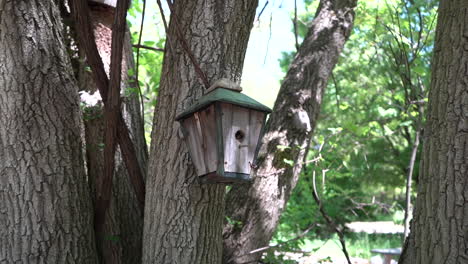 birdhouse-bird-house-stock-video-footage-handing-from-tree