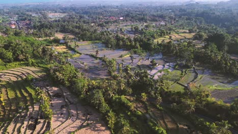 Wunderschöne-Luftaufnahme-Von-Reisfeldern-Und-Den-Dörfern-Von-Bali-Bei-Sonnenuntergang---Indonesien