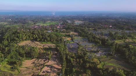 green-rice-paddies-plantations-in-Bali-with-the-ocean-at-the-background---Ubud,-Indonesia