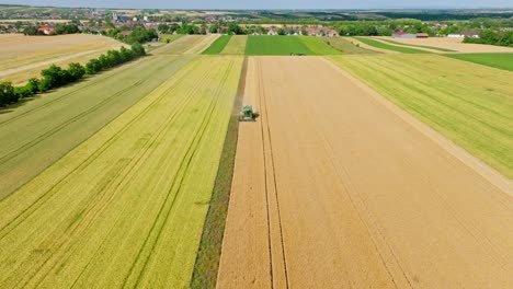 Combine-Harvester-On-The-Wheat-Field-In-Summer---aerial-drone-shot