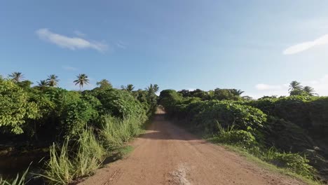 Dolly-out-shot-on-a-dirt-road-passing-a-wall-of-green-tropical-trees-and-plants-in-the-countryside-of-Tibau-do-Sul-in-Rio-Grande-do-Norte-in-Northeastern-Brazil-on-a-clear-blue-sunny-summer-day