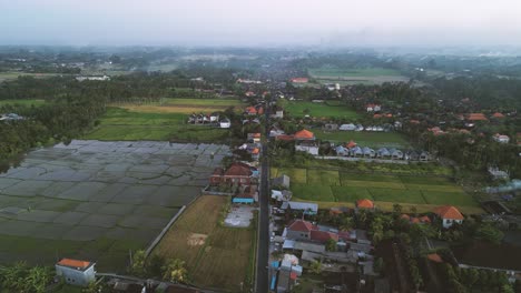 Aerial-view-of-road-crossing-rice-fields-in-the-rural-area-of-Ubud,-Bali---Indonesia