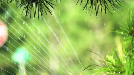Wasserströme-Aus-Einem-Oszillierenden-Sprinkler-Bewässern-Parkbäume-Und-Gras-Im-Freien