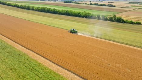 Grain-Combine-Harvester-Working-In-Wheat-Field---aerial-drone-shot