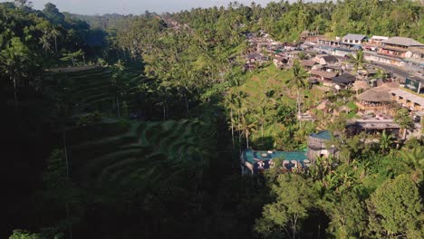 Vista-De-Pájaro-De-La-Terraza-De-Arroz-Tegallalang-En-Ubud,-Bali---Indonesia