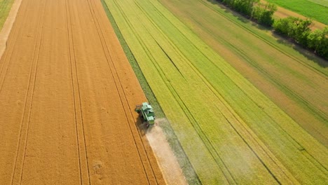 Combine-Harvester-Harvesting-A-Field-Of-Wheat-In-Summer---aerial-drone-shot