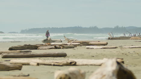 Driftwood-Dispersos-En-Playa-Aislada,-Mujer-Caminando-En-La-Distancia