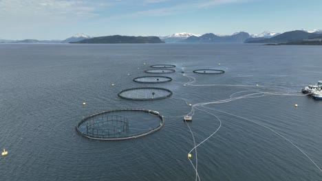 Flyover-above-aquatic-pens-at-atlantic-salmon-farm-in-Norway
