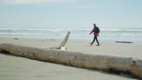 Female-Backpack-Traveler-Walks-By-Driftwood-Trunk-on-Beach-SLOMO