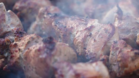 Marinated-pig-meat-with-spices-and-herbs-in-burning-charcoals-on-bbq-grid,-smoke-in-slow-motion