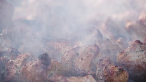 Pig-meat-bbq-with-spices-and-herbs-in-burning-charcoals-on-a-grid,-close-up-shot