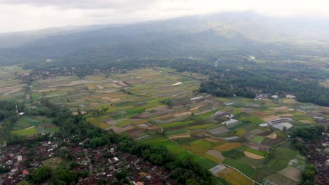 Central-Java-landscape-with-towns-and-fields,-aerial-view
