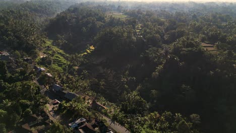 Das-Malerische-Grün-Einer-Reisterrasse-In-Der-Region-Ubud-–-Bali,-Indonesien