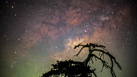 Timelapse-of-the-sky-and-the-milky-way-in-motion