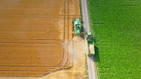Aerial-View-Of-Combine-Harvester-Working-On-Wheat-Field---drone-shot