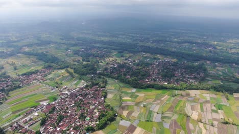 Exotic-forest,-rice-fields-and-towns-in-Indonesia,-aerial-drone-view