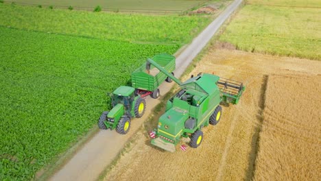 Combine-Harvester-Unloading-Grains-In-Wheat-Field---aerial-drone-shot