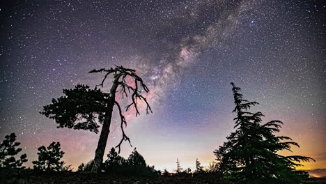 Impressive-timelapse-of-the-sky-and-the-milky-way-with-trees-backlit