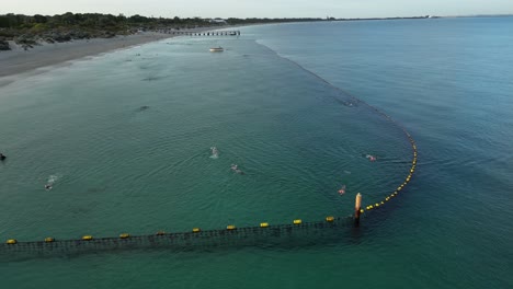 Menschen-Schwimmen-Am-Morgen-Im-Hai-Schutznetz-Am-Coogee-Beach,-Perth-City