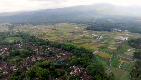Rice-fields-and-villages-of-Indonesia,-aerial-drone-descend-view