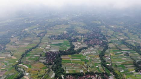 Green-rural-landscape-of-rice-fields-and-towns-in-Indonesia,-aerial-view