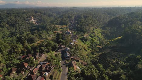Luftaufnahme-Der-Landschaft-Balis:-Eine-Von-Reisfeldern-Umgebene-Straße---Ubud,-Bali---Indonesien