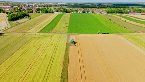 Harvester-Cutting-Crop-Of-Wheat-During-Summer---aerial-shot