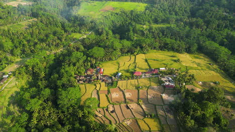 Aerial-over-rice-fields-in-Ubud,-Bali,-Indonesia