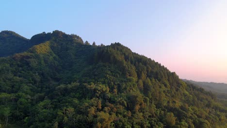 Dense-forest-covering-majestic-mountains-of-Indonesia,-aerial-drone-view