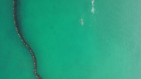 Overhead-Shot-Of-People-Swimming-Into-Shark-Protective-Net-In-Coogee-Beach,-Perth-City