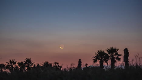 Timelapse-of-the-crescent-moon-rising-in-a-pink-sky-with-blue-clouds-over-a-landscape-of-palm-trees