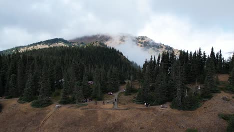 Gathering-near-scenic-trails-in-Olympic-National-Park,-Washington