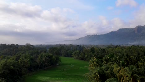 Foggy-mountain-range-and-exotic-palm-tree-forest-bellow-in-Indonesia,-aerial-view