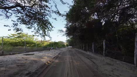 Dolly-out-shot-on-a-sand-road-passing-a-canopy-of-green-tropical-trees-and-plants-in-the-countryside-of-Tibau-do-Sul-in-Rio-Grande-do-Norte-in-Northeastern-Brazil-on-a-clear-blue-sunny-summer-day