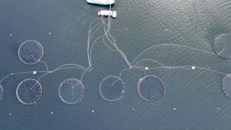 Bird's-eye-view-over-salmon-farming-operation-in-Norway