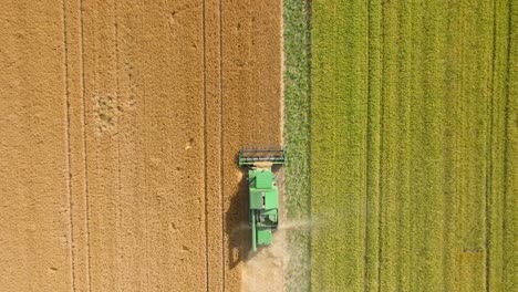 Combine-Harvests-Wheat-In-The-Field---aerial-top-down