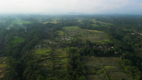 Misty-landscape-with-rising-smokes-of-Bali-rice-fields,-aerial-drone-view