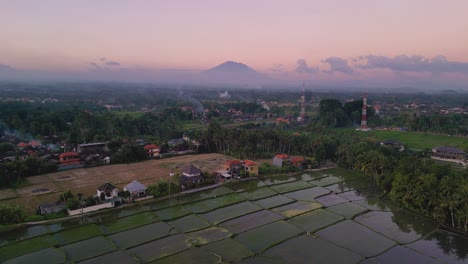 Sonnenuntergang-Am-Rosa-Himmel-Mit-Dem-Berg-Agung-Im-Hintergrund-Und-Reisfeldern,-Die-Den-Himmel-Reflektieren---Ubud,-Bali---Indonesien